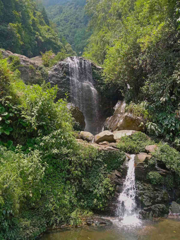 Nature Reference 3