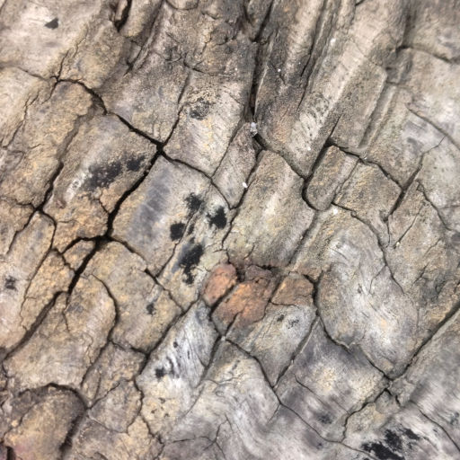 Texture Reference 3